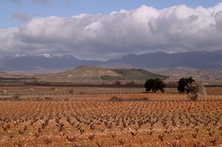 Bodega Queiron Mi Lugar Blanco